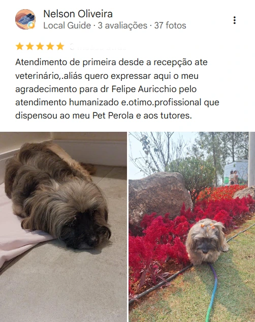 Avaliação real de tutor sobre o Isaac Newton Veterinário 24h