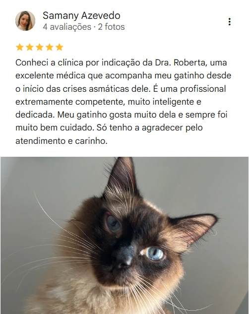 Avaliação real de tutor sobre o Isaac Newton Veterinário 24h