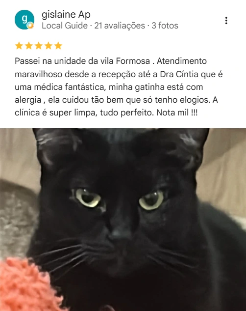 Avaliação real de tutor sobre o Isaac Newton Veterinário 24h