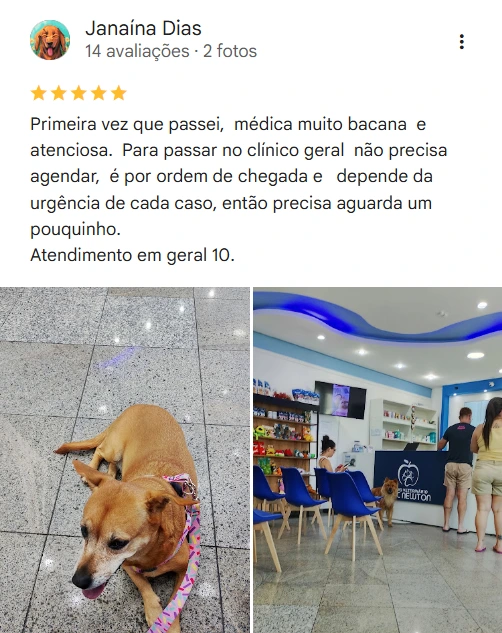 Avaliação real de tutor sobre o Isaac Newton Veterinário 24h