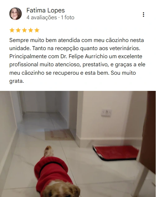 Avaliação real de tutor sobre o Isaac Newton Veterinário 24h